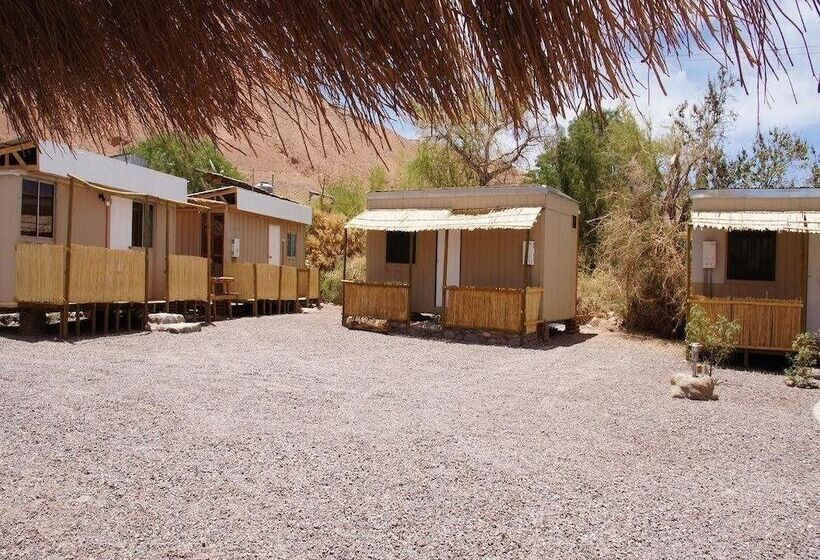 酒店 Altos De Quitor, Glamping