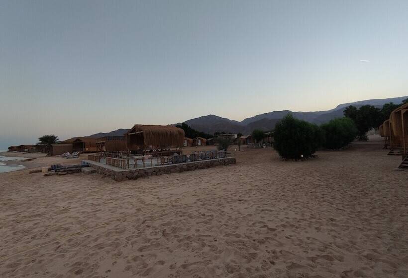 هتل Sunrise Sinai Camp