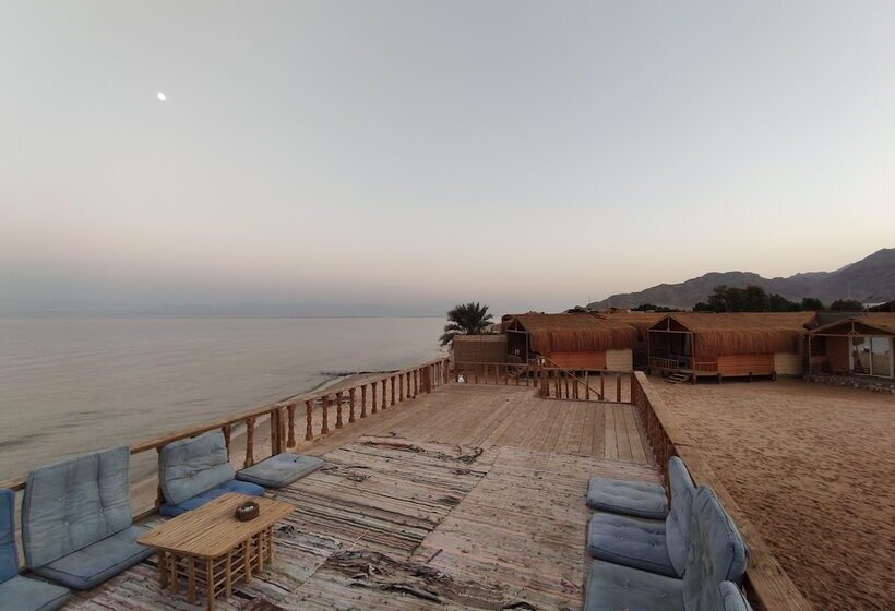 هتل Sunrise Sinai Camp