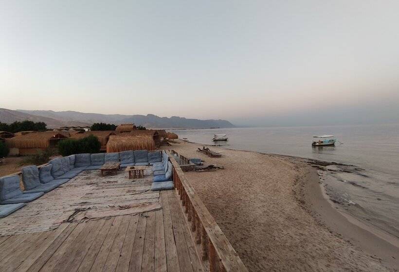 هتل Sunrise Sinai Camp