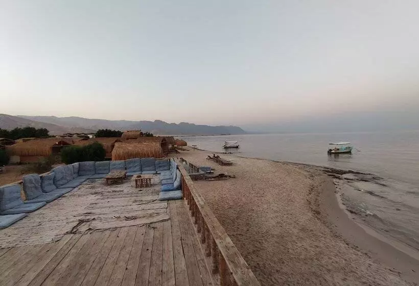 هتل Sunrise Sinai Camp