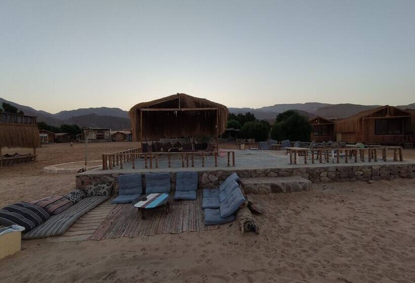 هتل Sunrise Sinai Camp