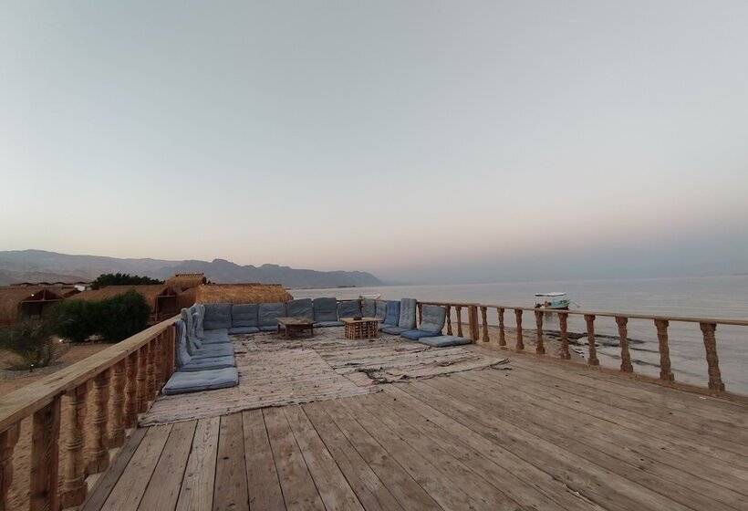 هتل Sunrise Sinai Camp