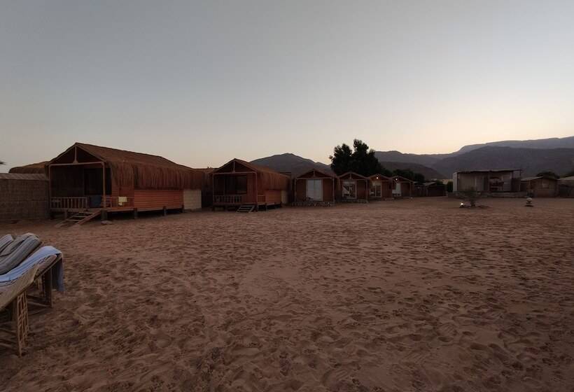 هتل Sunrise Sinai Camp