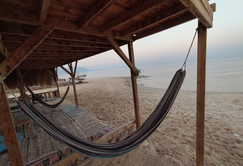 هتل Sunrise Sinai Camp