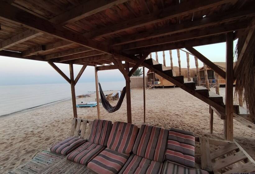 هتل Sunrise Sinai Camp