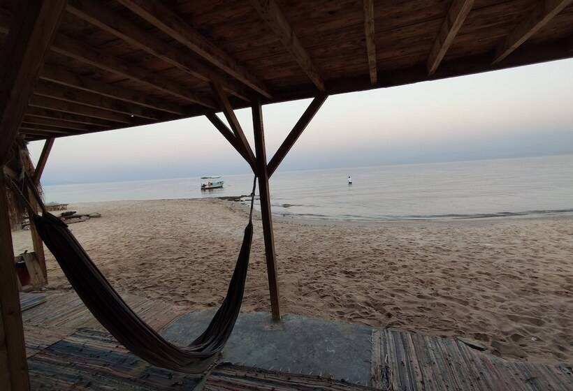 هتل Sunrise Sinai Camp