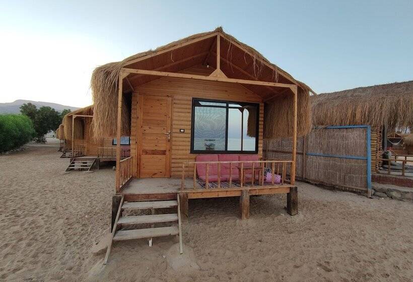 هتل Sunrise Sinai Camp