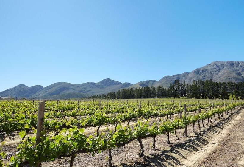 פנסיון La Cotte The Manor House