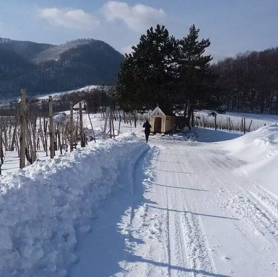 هتل Merkež Guest House