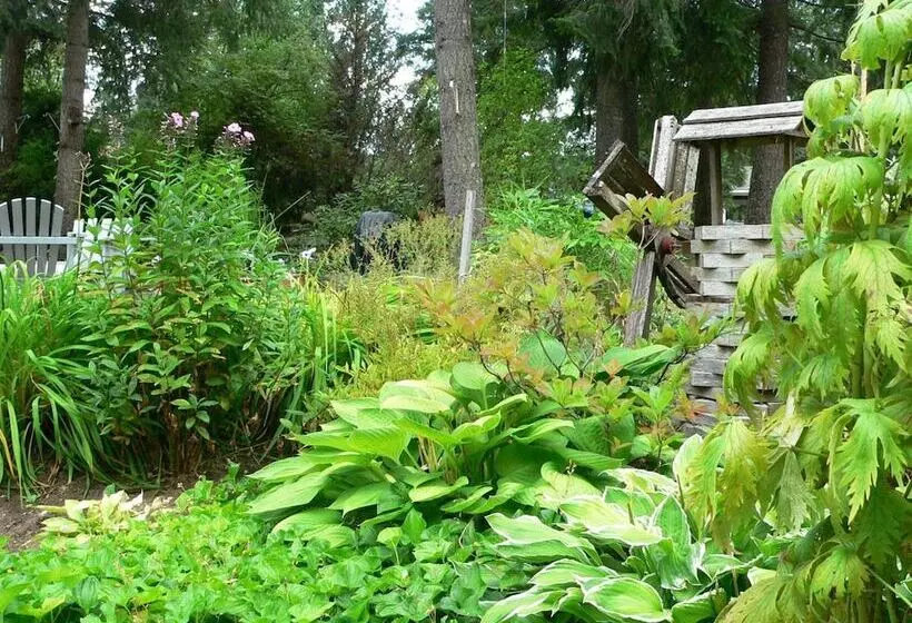 Hotelli Stoneshire Guesthouse
