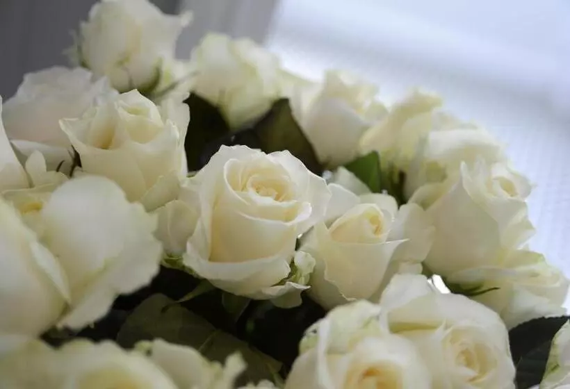 Bed and Breakfast Heal House