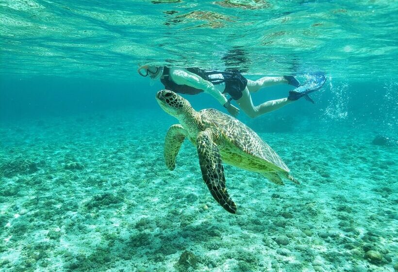 فندق Breeze Bay Marina