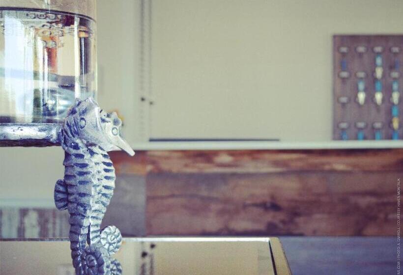 酒店 Haven Montauk