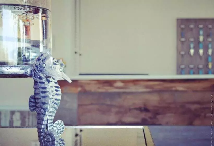 ホテル Haven Montauk