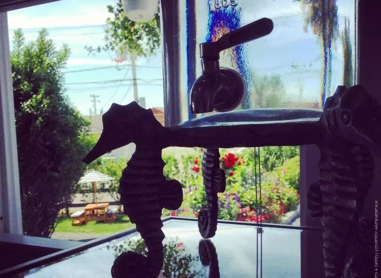 ホテル Haven Montauk