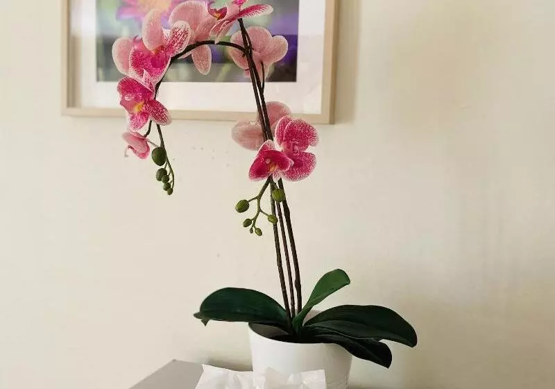 Hotelli Lee's Mark Residence