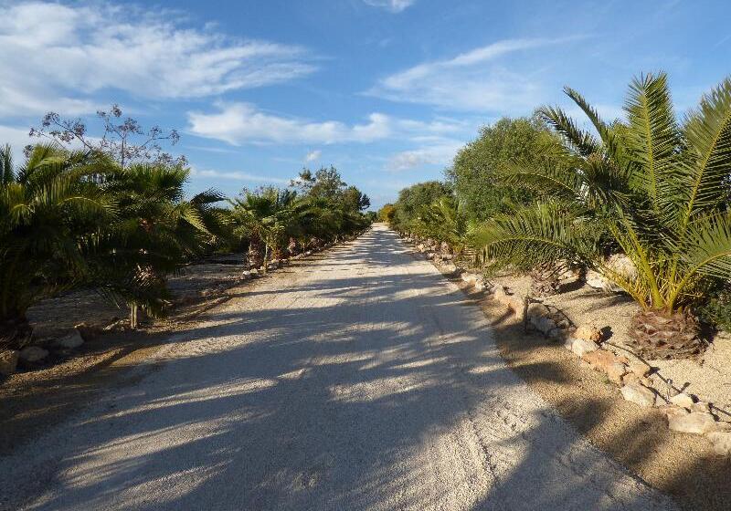 هتل روستایی Es Lloquet