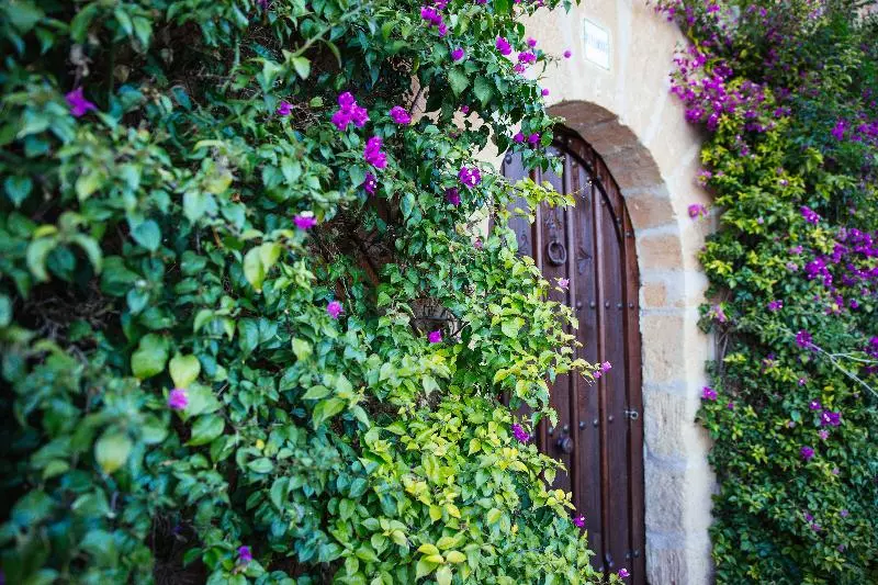 בית מלון כפרי Es Lloquet