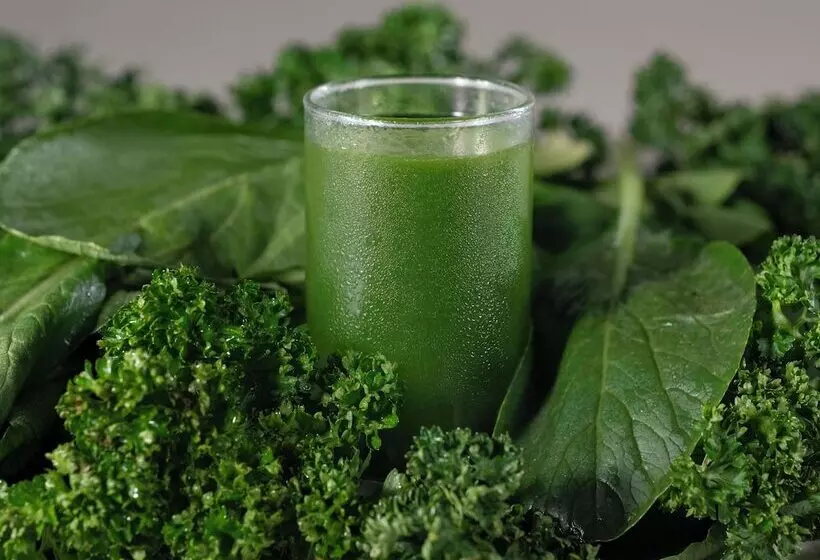 فندق Mystays Atsugi