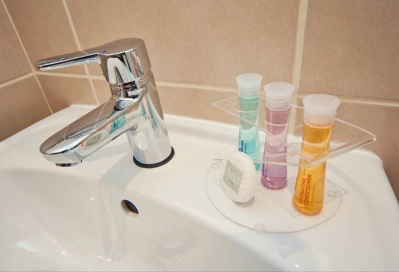 호텔 The Burlington