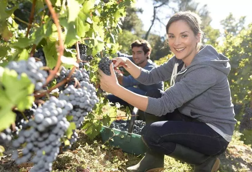Moselstern Hotel Fuhrmann
