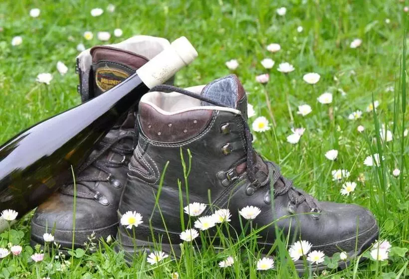 Moselstern Hotel Fuhrmann