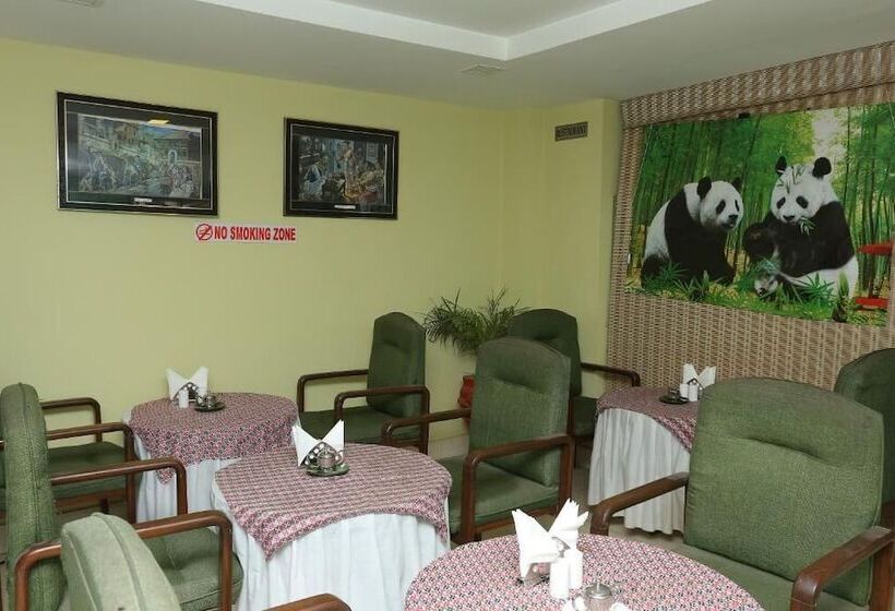 New Hotel Panda