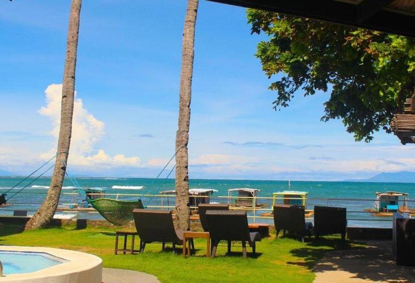 리조트 The Coral Beach Club