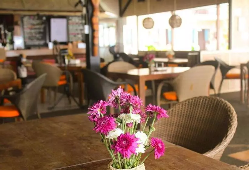 Resort The Coral Beach Club