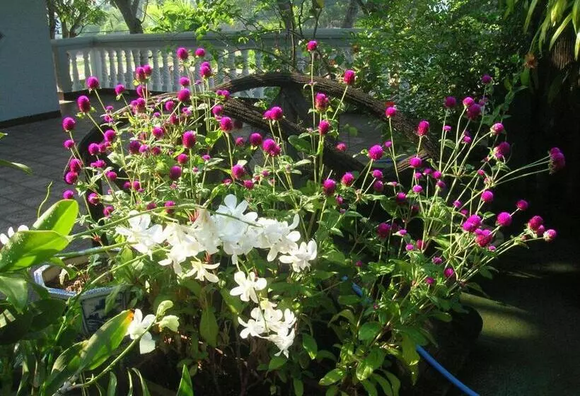 Sagarika Beach Hotel