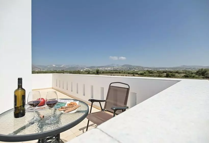 ホテル Naxian Air