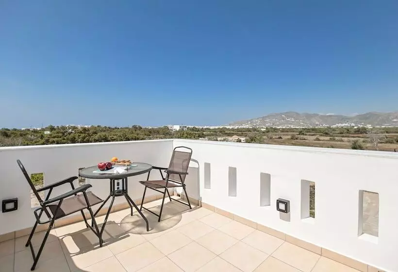 ホテル Naxian Air