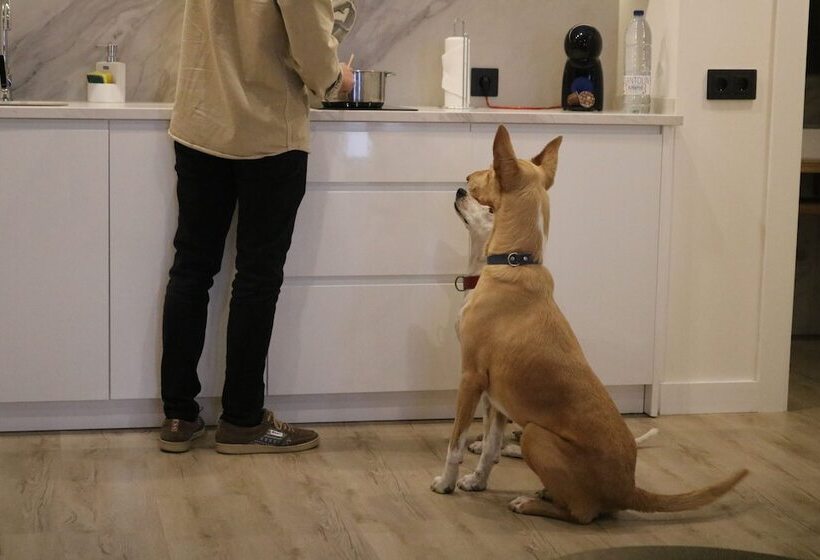 Apartamentos Málaga Premium Calle San Telmo Thyssen Museum