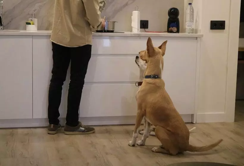 Apartamentos Málaga Premium   Calle San Telmo Thyssen Museum