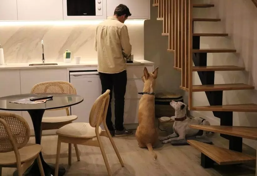 Apartamentos Málaga Premium   Calle San Telmo Thyssen Museum