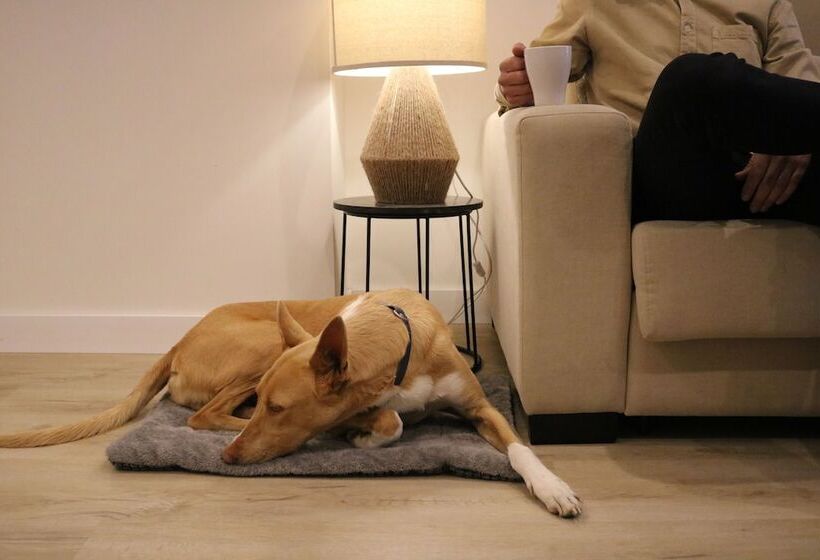 Apartamentos Málaga Premium Calle San Telmo Thyssen Museum