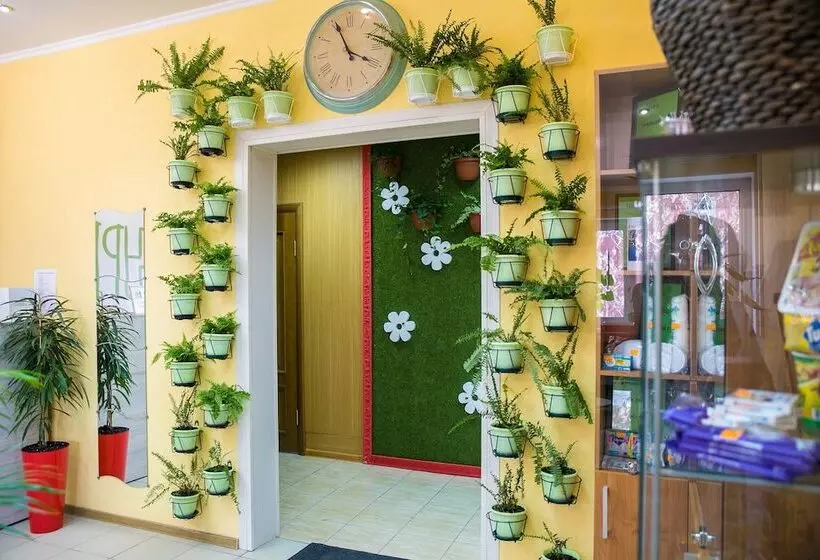 Cucumber Hostel