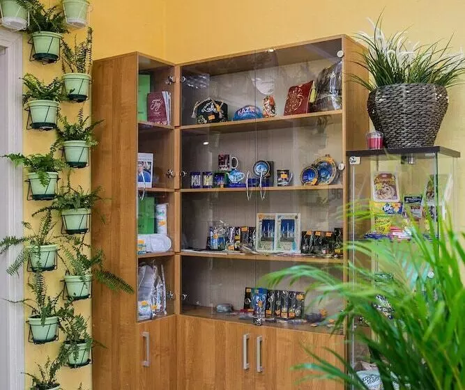 Cucumber Hostel