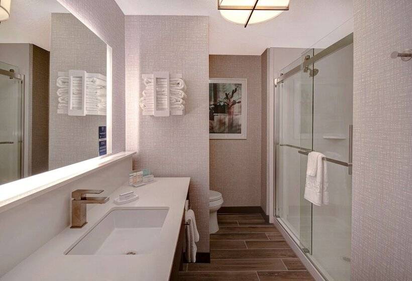 فندق Hampton Inn Tucson Downtown