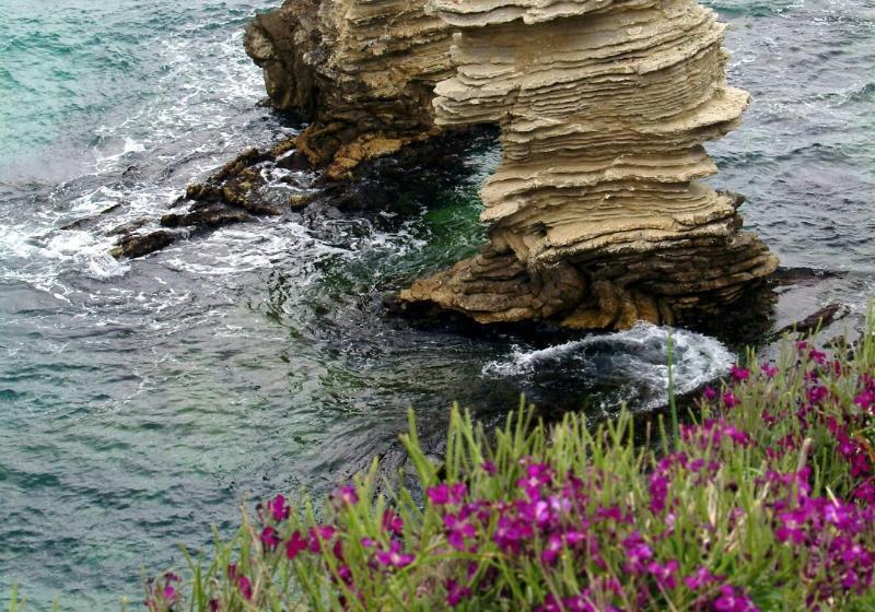 צימר Green Garden