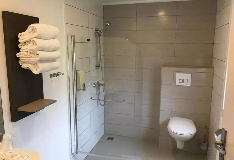 هتل Akena City Saint Witz