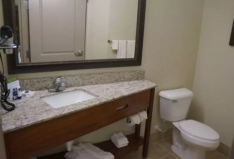 فندق Americinn By Wyndham Sibley