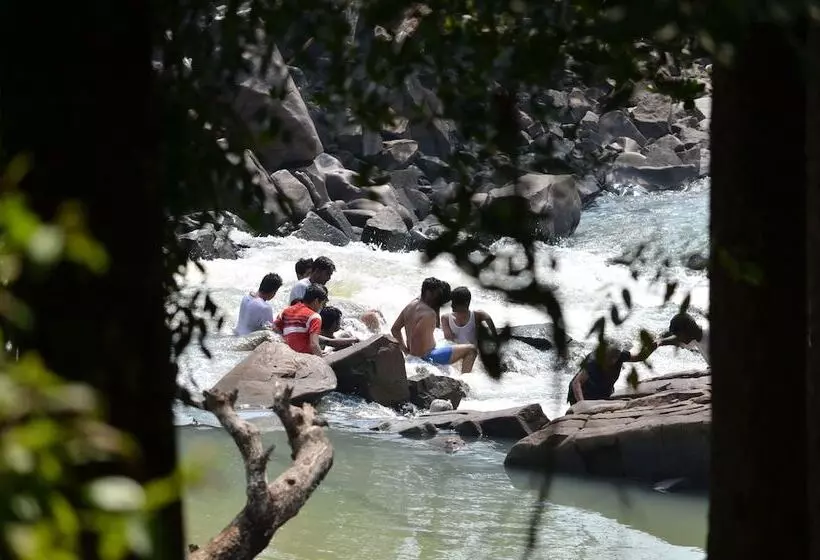 Hotel Bison River Resort