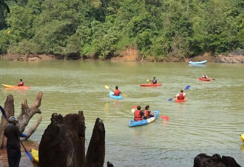 Hotel Bison River Resort