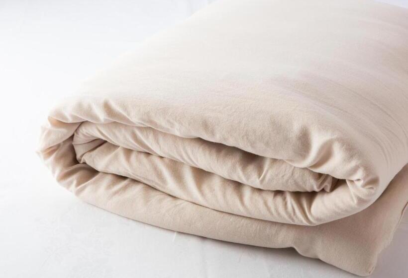 酒店 Claiton Esaka