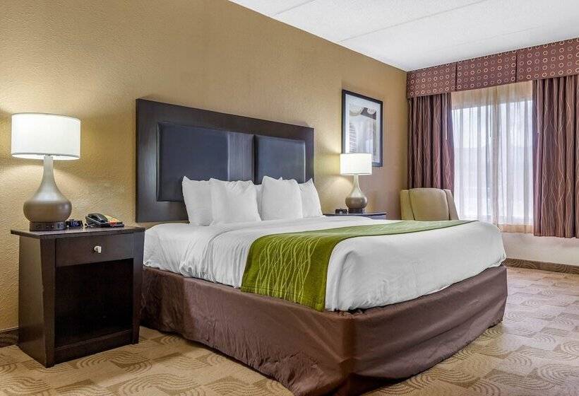 فندق Comfort Inn Warner Robins   Robins Air Force Base Area