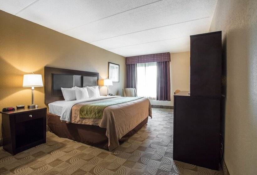 فندق Comfort Inn Warner Robins   Robins Air Force Base Area