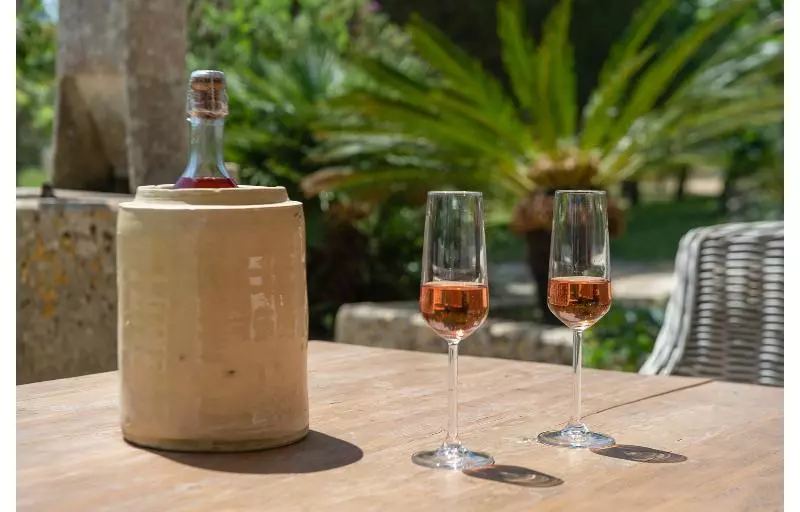 호텔 Naturalis Bio Resort