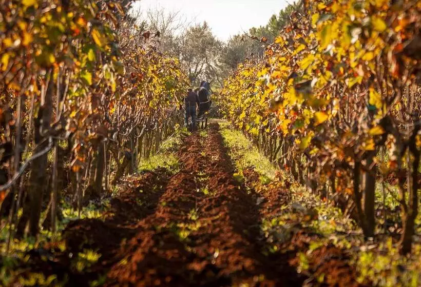 호텔 Naturalis Bio Resort